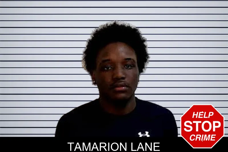 Tamarion Lane Mugshots