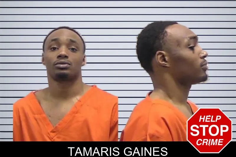 Tamaris Gaines Mugshots