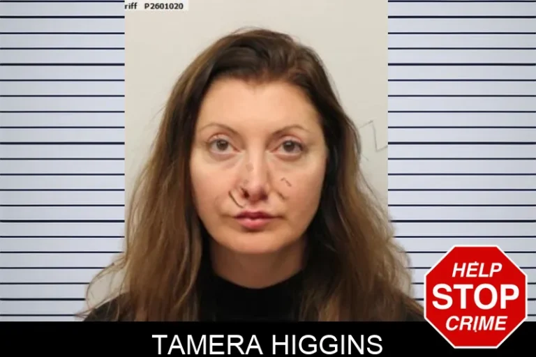 Tamera Higgins mugshot – Chatham County , Georgia Tamera Higgins