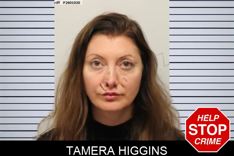 Tamera Higgins mugshot – Chatham County , Georgia Tamera Higgins mugshot