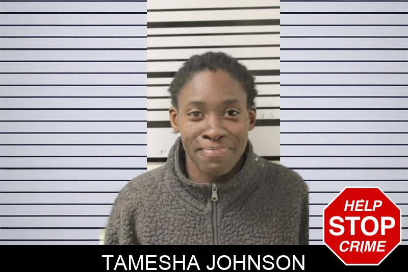 Tamesha Johnson Mugshots