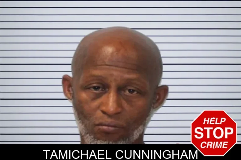Tamichael Cunningham mugshot – Seminole County , Georgia Tamichael Cunningham