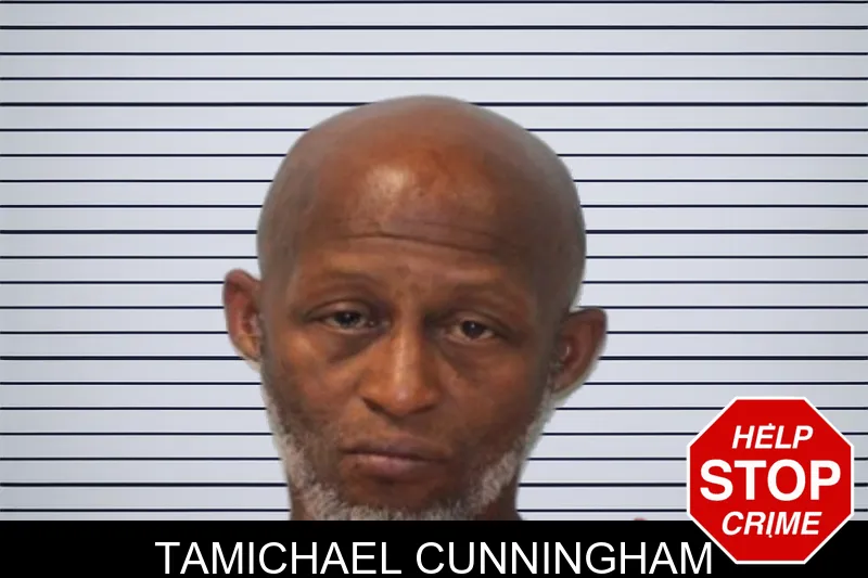 Tamichael Cunningham mugshot – Seminole County , Georgia Tamichael Cunningham mugshot