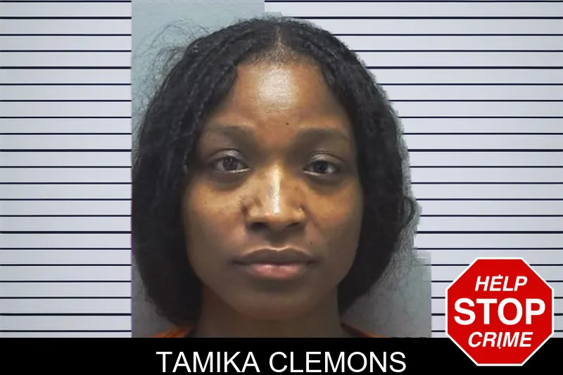Tamika Clemons mugshot