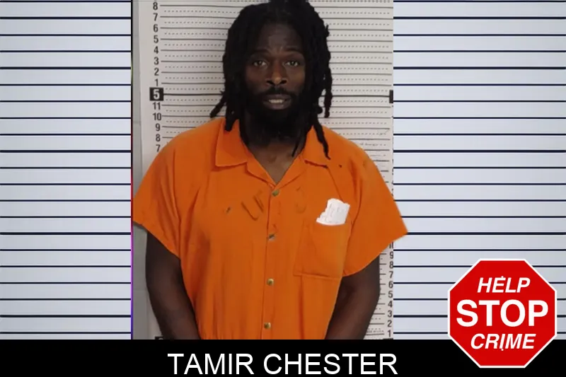 Tamir Chester Mugshots