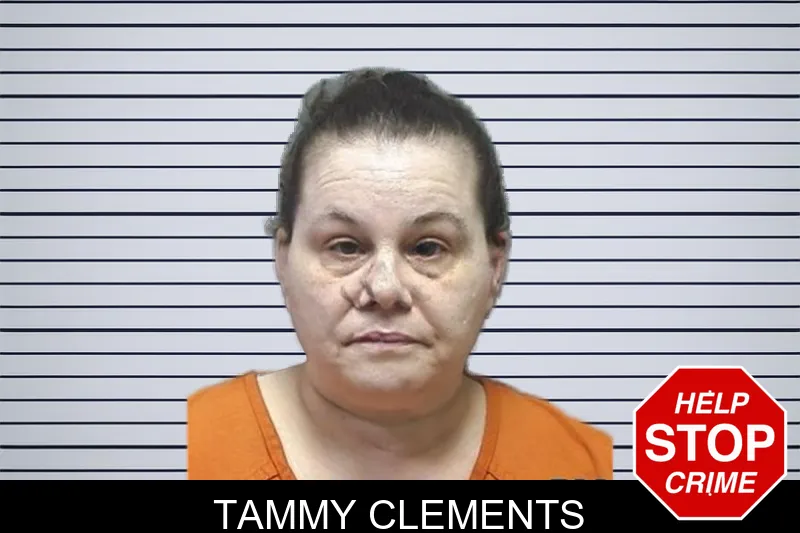 Tammy Clements Mugshots