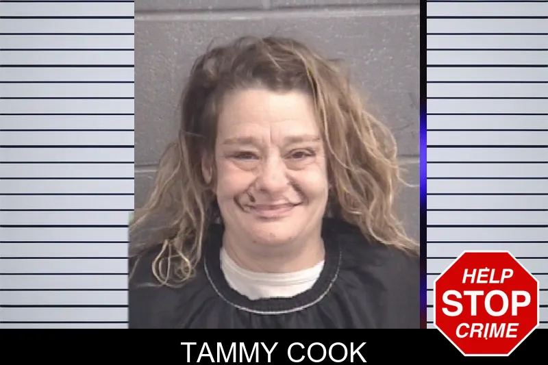 Tammy Cook Mugshots