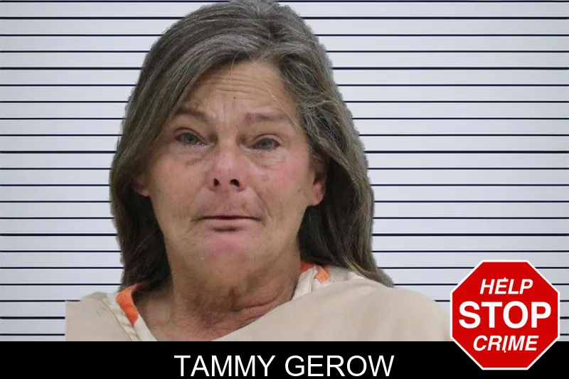 Tammy Gerow mugshot