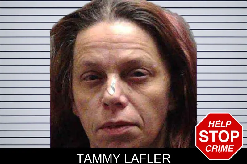 Tammy Lafler mugshot