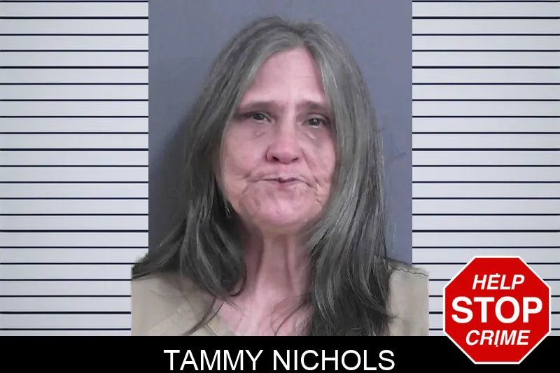 Tammy Nichols mugshot