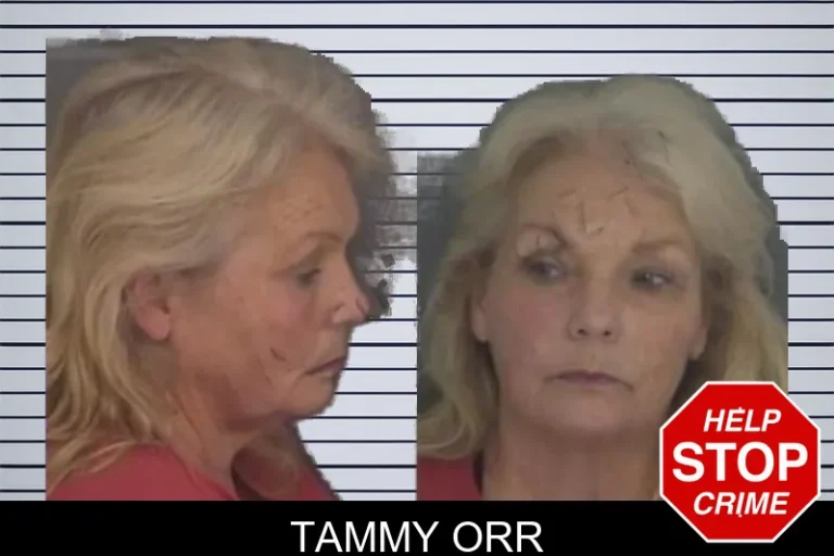 Tammy Orr mugshot – Barrow County , Georgia Tammy Orr