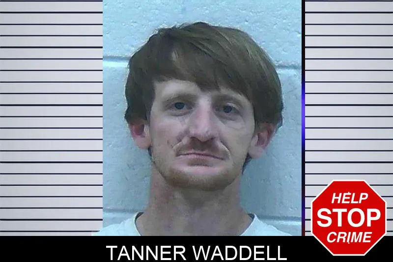 Tanner Waddell mugshot – Jackson County , Georgia Tanner Waddell mugshot