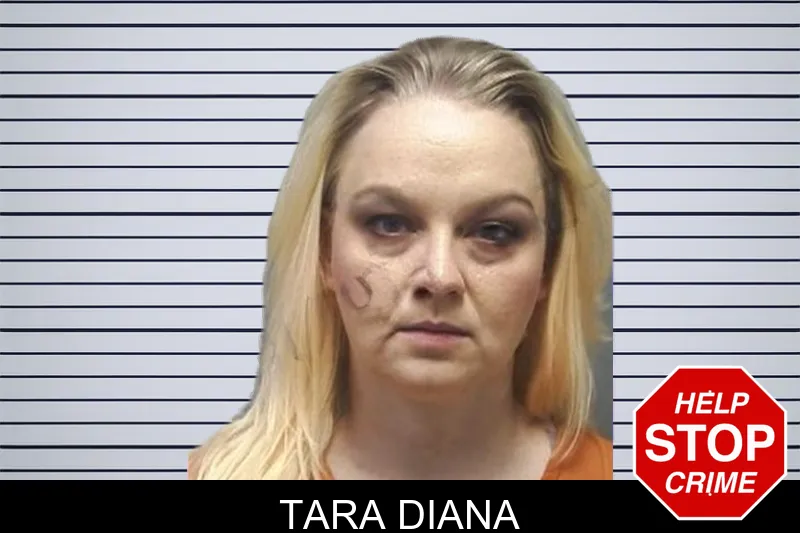 Tara Diana Mugshots