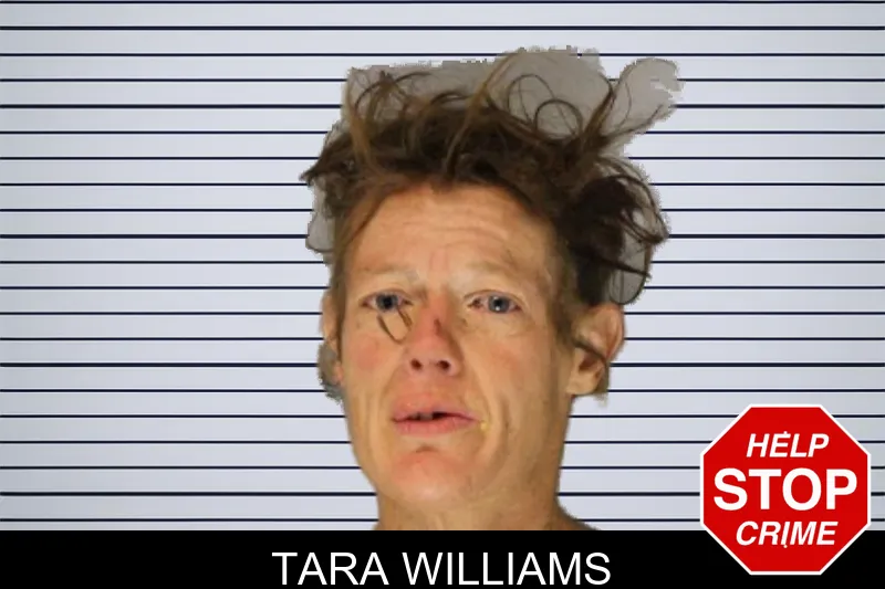 Tara Williams mugshot – Hall County , Georgia Tara Williams mugshot