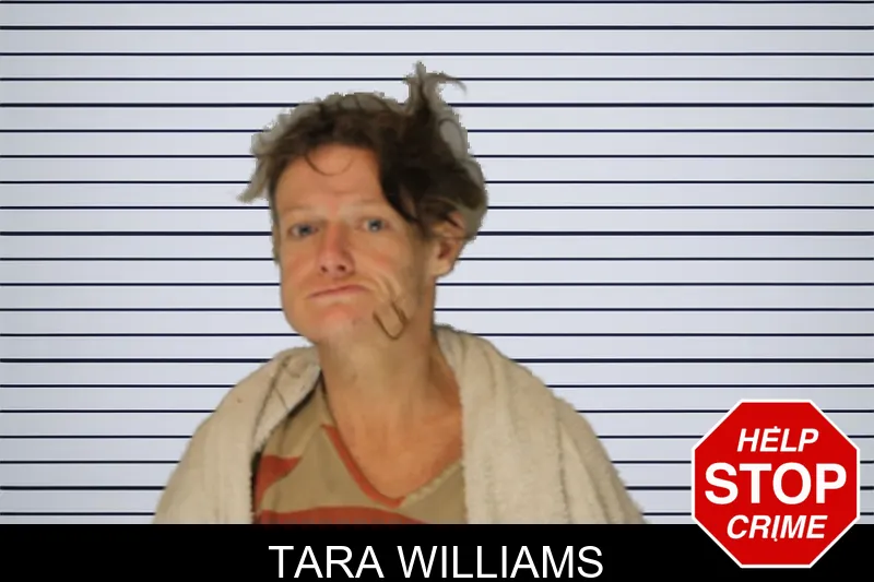 Tara Williams Mugshots