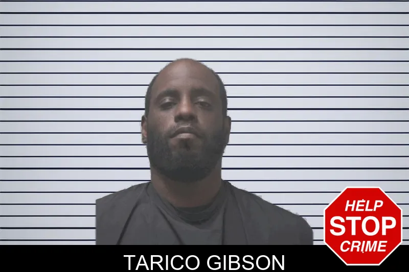 Tarico Gibson mugshot