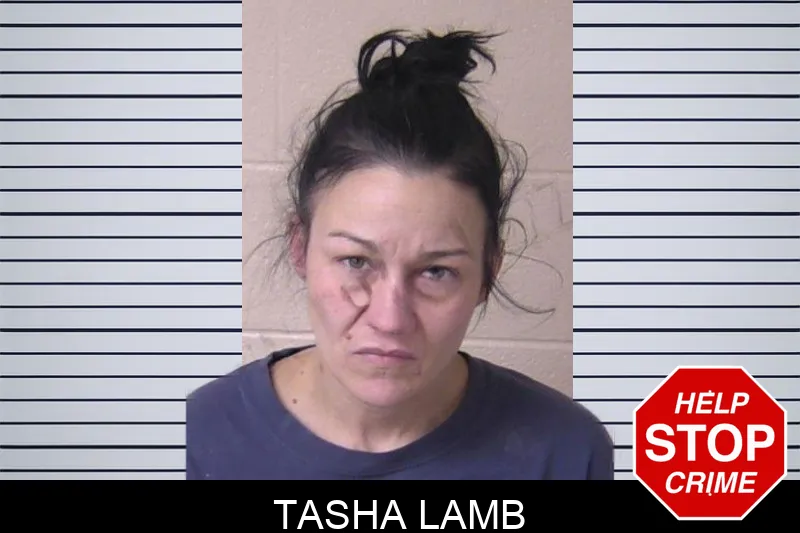 Tasha Lamb mugshot – Walker County , Georgia Tasha Lamb mugshot