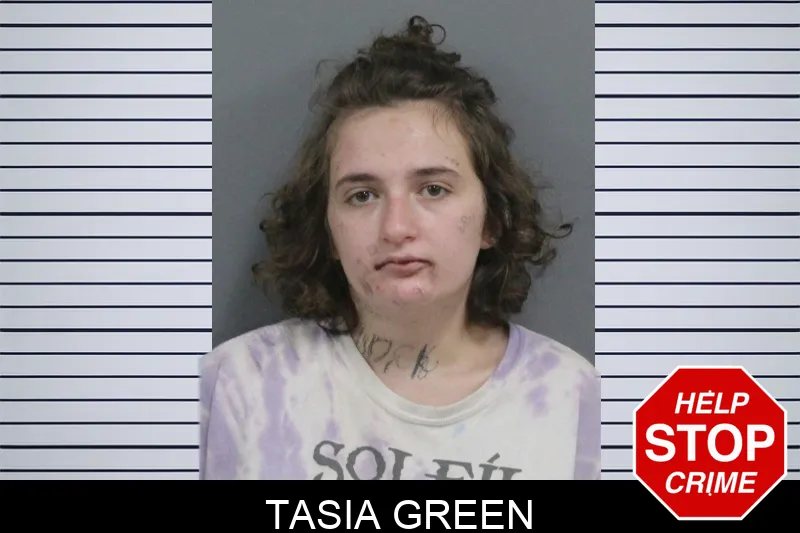 Tasia Green mugshot – Catoosa County , Georgia Tasia Green mugshot