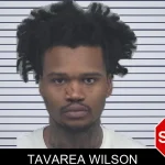 Tavarea Wilson mugshot