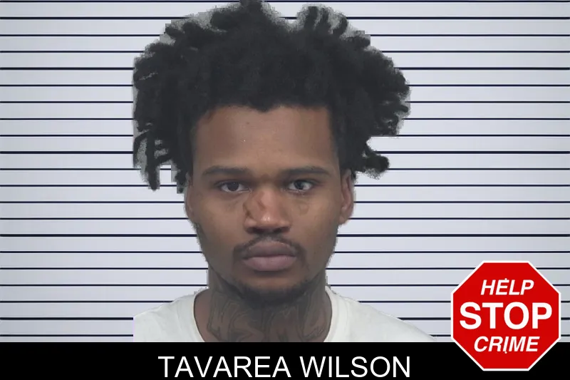 Tavarea Wilson mugshot