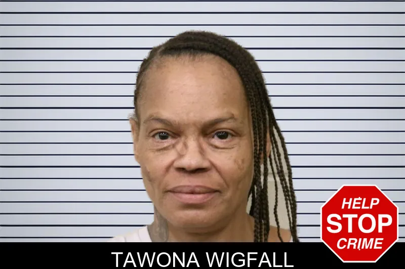 Tawona Wigfall mugshot – Bulloch County , Georgia Tawona Wigfall mugshot