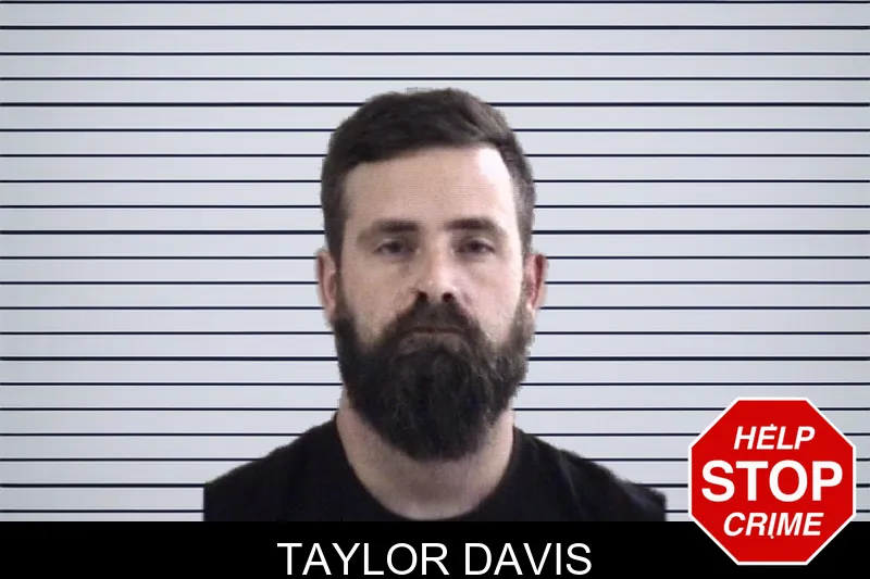 Taylor Davis Mugshots