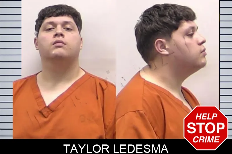 Taylor Ledesma Mugshots