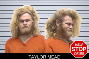 Taylor Mead mugshot