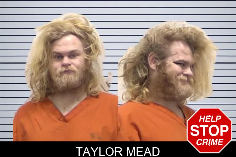 Taylor Mead mugshot