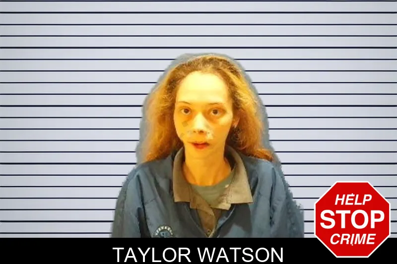 Taylor Watson Mugshots