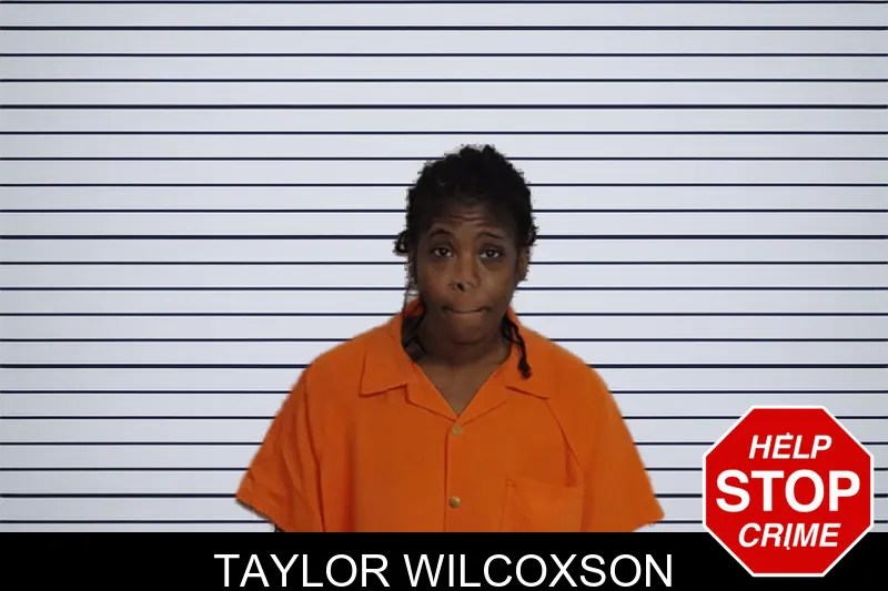 Taylor Wilcoxson mugshot