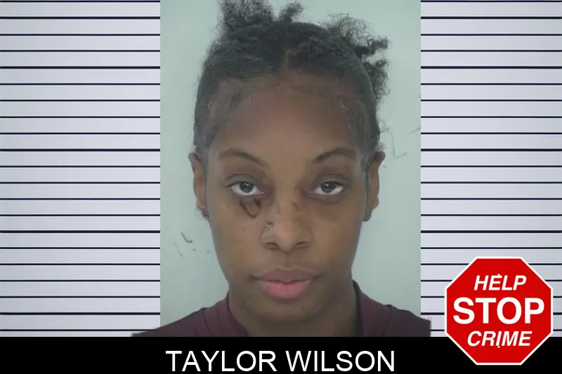 Taylor Wilson mugshot