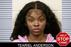Teariel Anderson mugshot