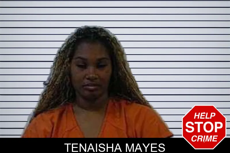 Tenaisha Mayes Mugshots