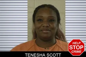 Tenesha Scott mugshot