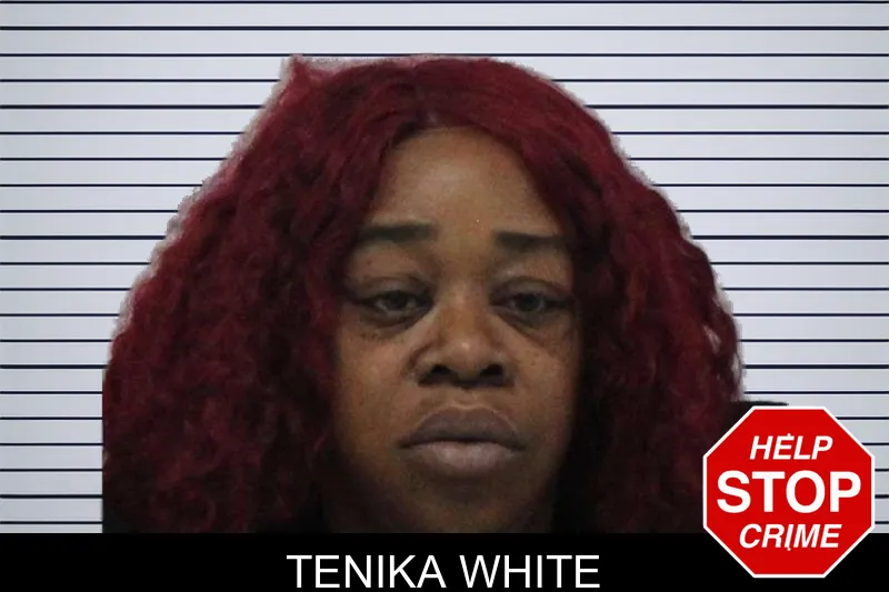 Tenika White mugshot