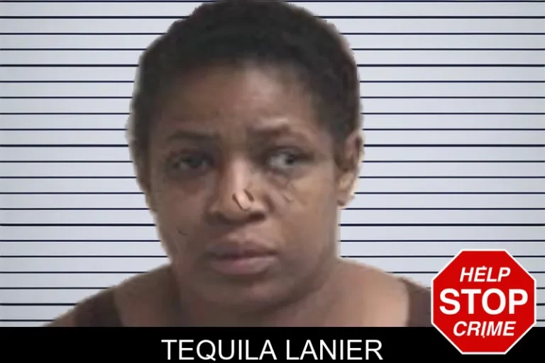 Tequila Lanier mugshot – Henry County , Georgia Tequila Lanier