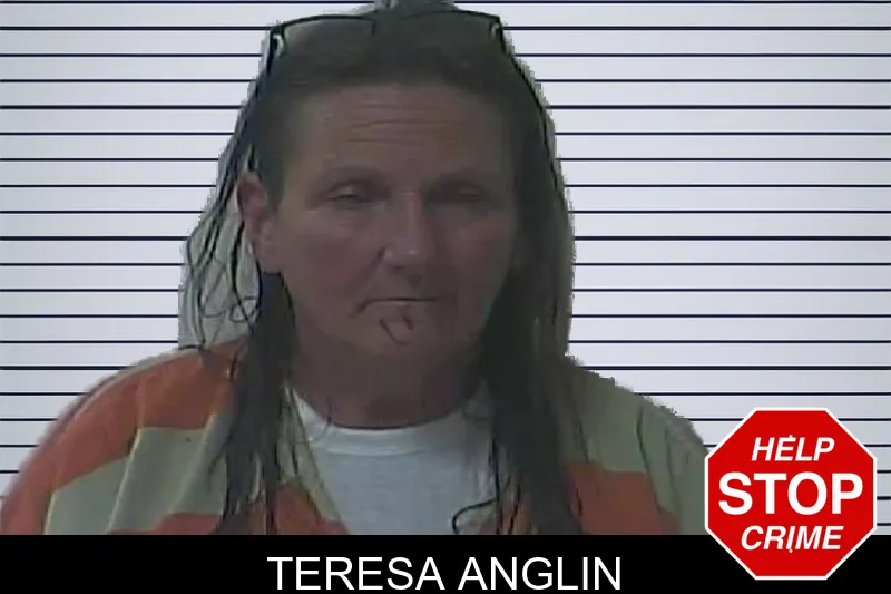 Teresa Anglin mugshot