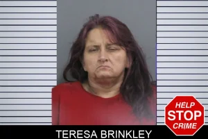 Teresa Brinkley mugshot