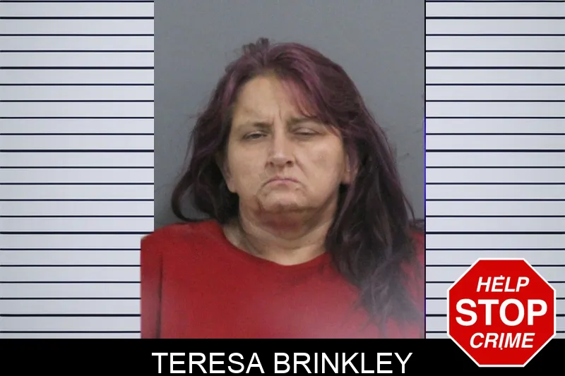 Teresa Brinkley Mugshots