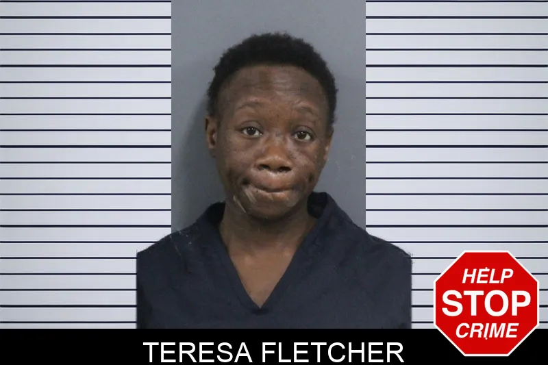Teresa Fletcher mugshot – Catoosa County , Georgia Teresa Fletcher mugshot