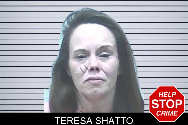 Teresa Shatto Mugshots