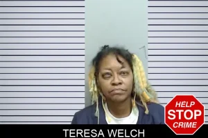 Teresa Welch mugshot