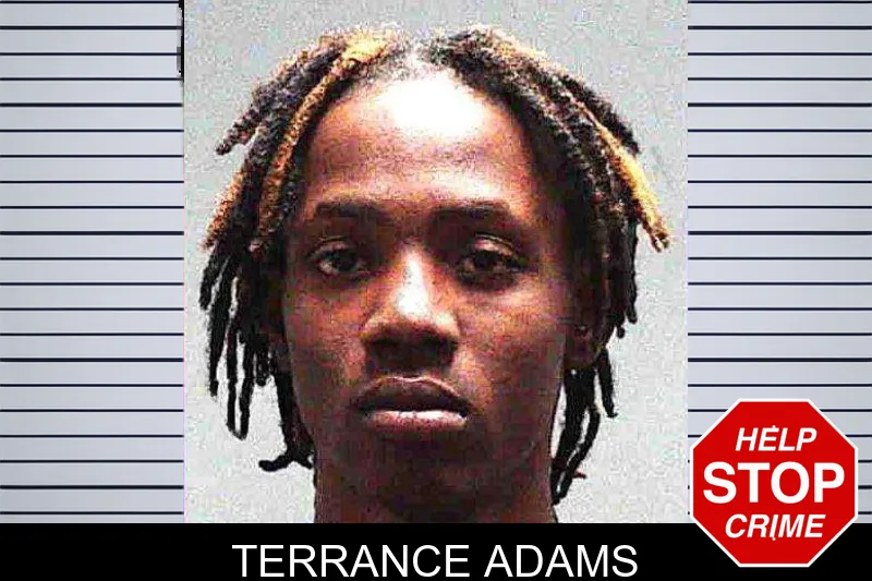 Terrance Adams Mugshots