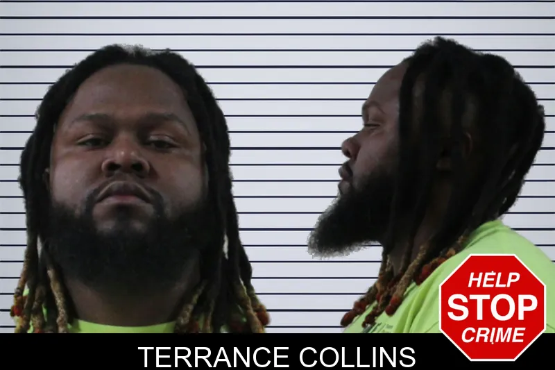 Terrance Collins mugshot – Houston County , Georgia Terrance Collins mugshot