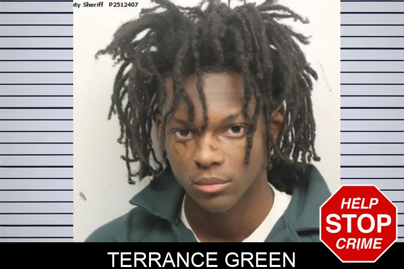 Terrance Green mugshot – Chatham County , Georgia Terrance Green mugshot