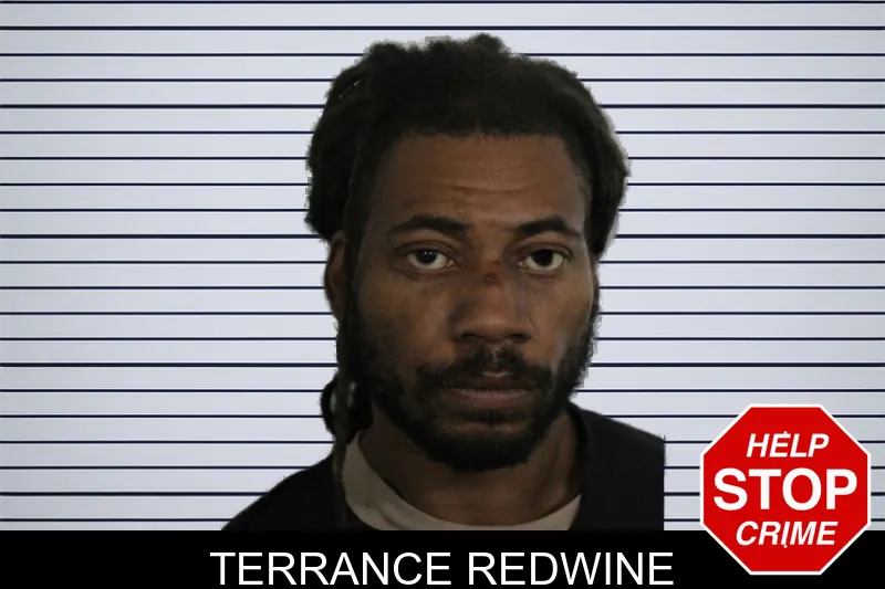 Terrance Redwine mugshot – Floyd County , Georgia Terrance Redwine mugshot