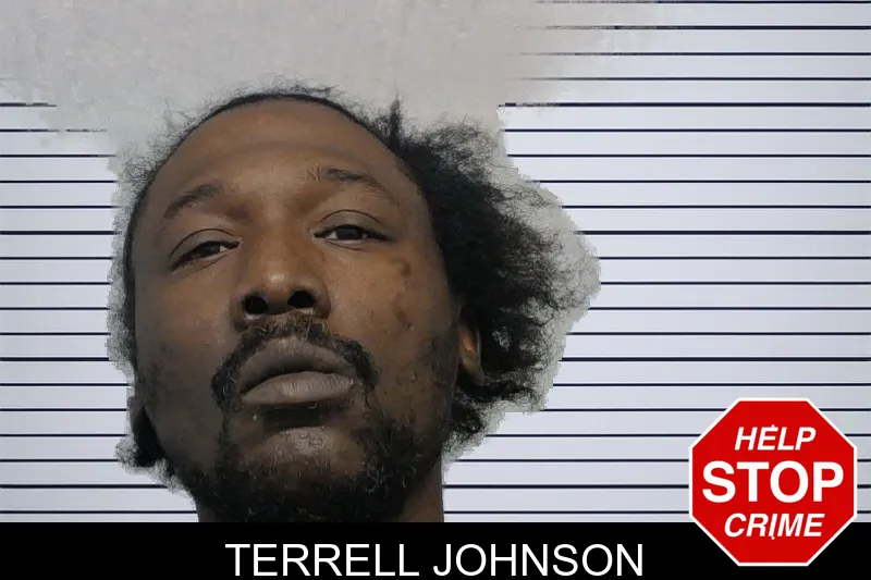 Terrell Johnson Mugshots