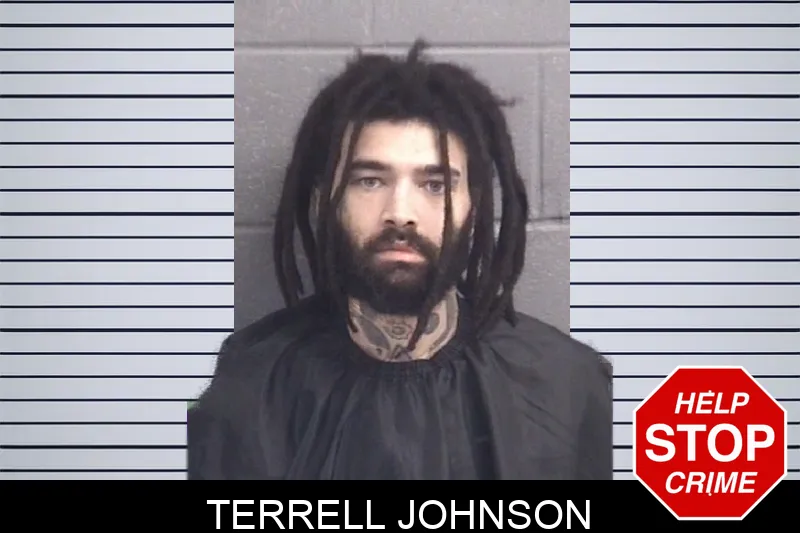 Terrell Johnson mugshot