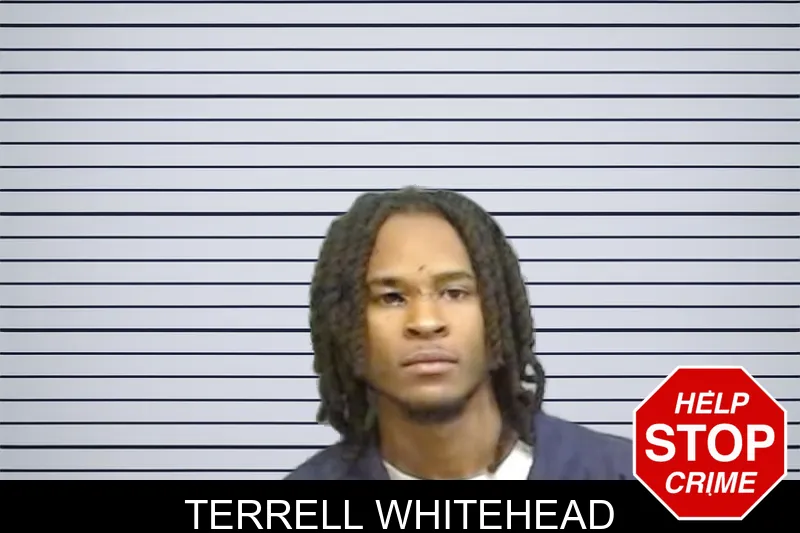 Terrell Whitehead mugshot
